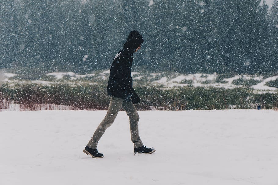 snow, blizzard, winter, cold, walking, guy, man, people, nature HD wallpaper