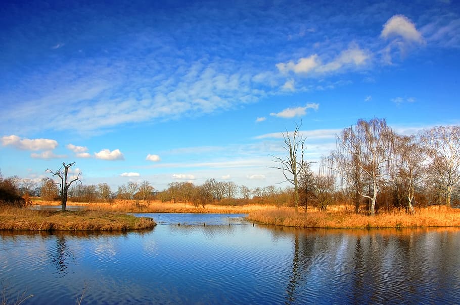 pond, clouds, lake, water, landscape, sky, bank, reed, nature HD wallpaper