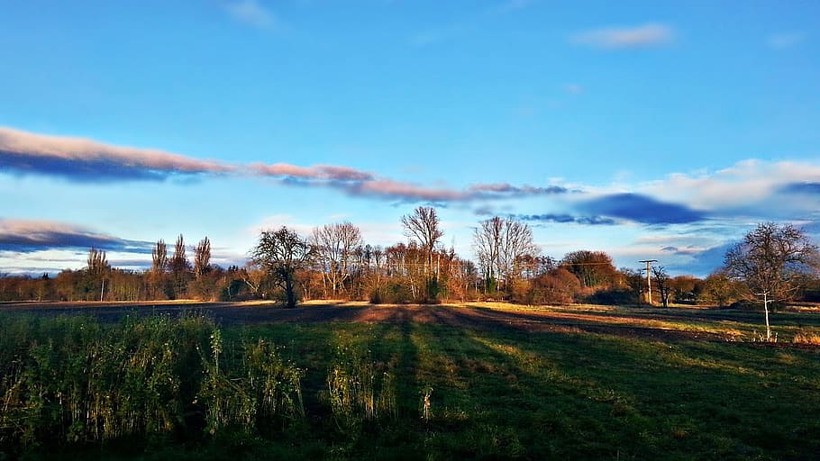 landscape, field, nature, clouds, beautiful landscape, spring HD wallpaper
