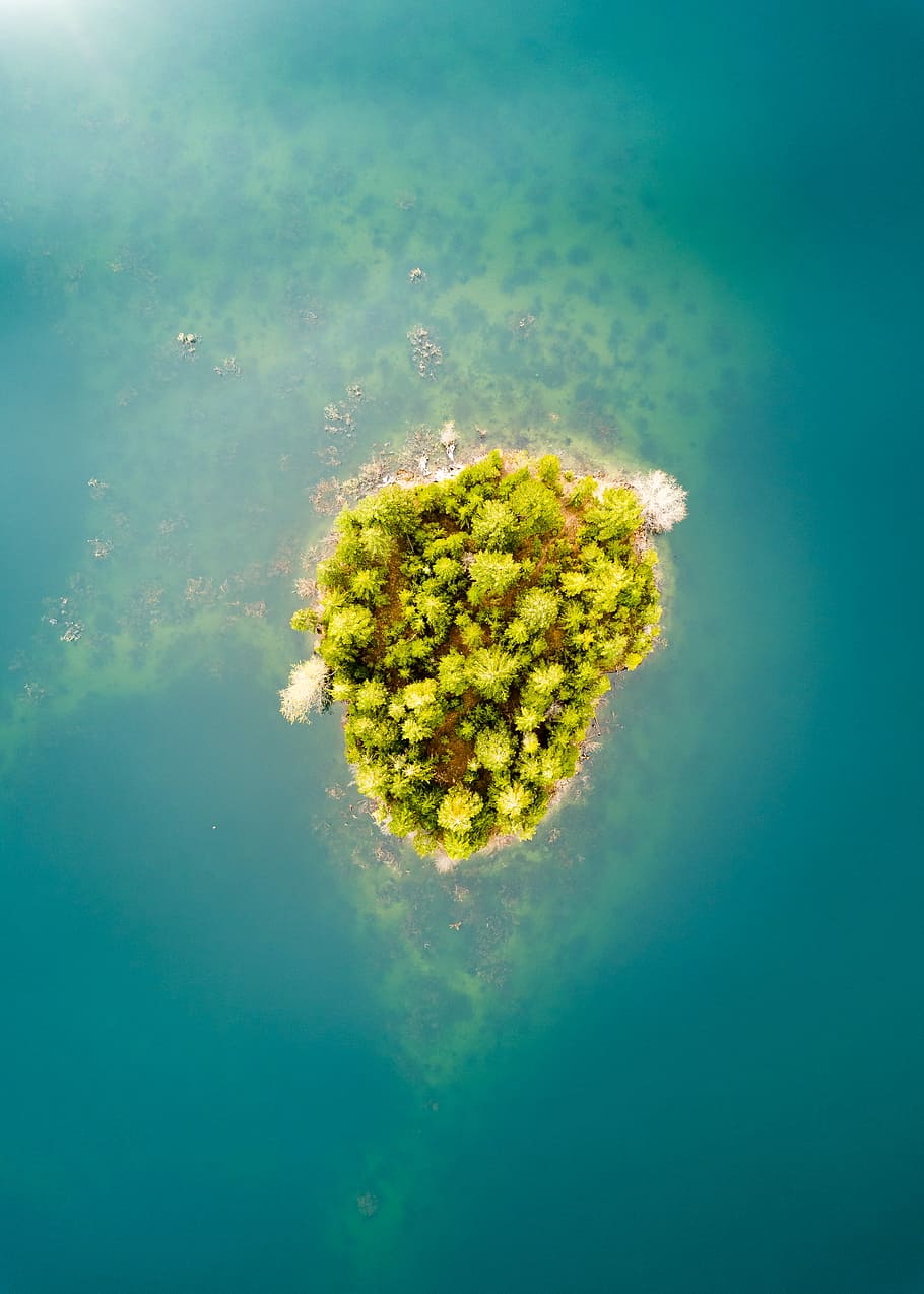 bird's eye view of island, green island surrounded by body of water, HD wallpaper