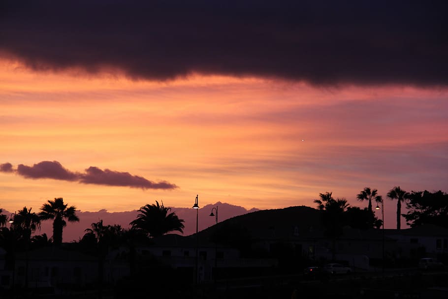 sunset, sky, palm trees, lights, violet, building exterior HD wallpaper