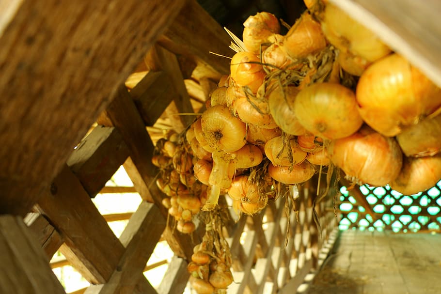 onion, hanging, hayrack, drying, autumn, food, food and drink HD wallpaper