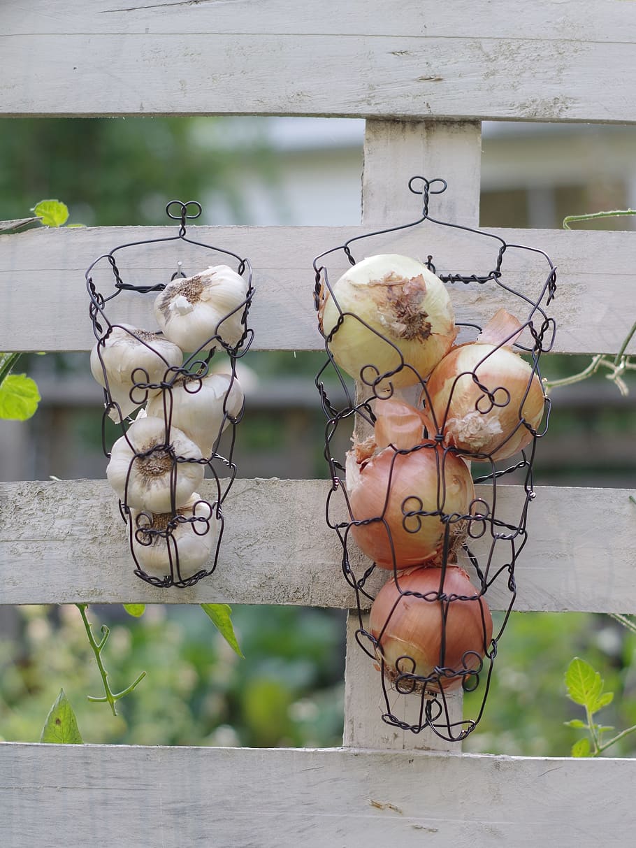 onions, garlic, wire, wire baskets, country, rustic, handmade HD wallpaper