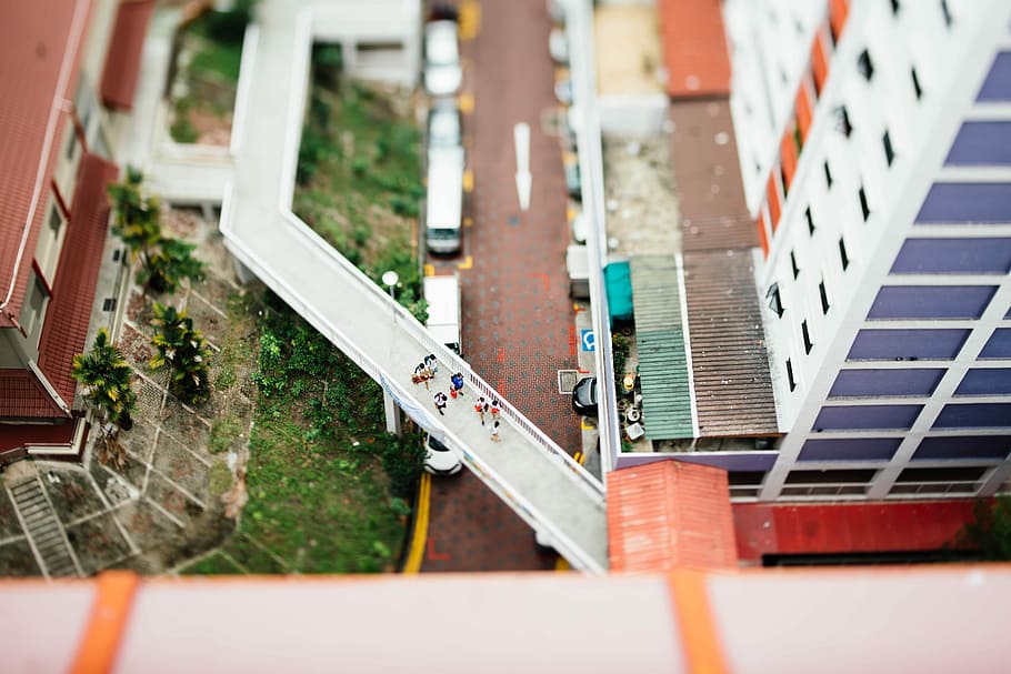 white bridge during daytime, top view of people walking on foot bridge HD wallpaper