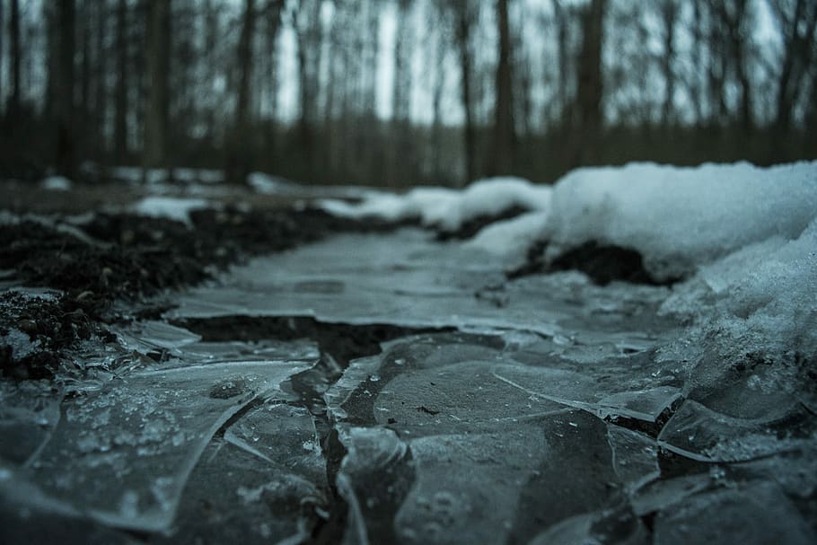 Winter, Ice, Puddle, Frost, Nature, cold temperature, snow HD wallpaper