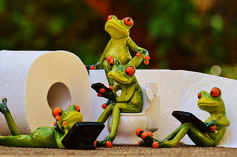 four frog ceramic figurines, toilet, loo, session, funny, toilet paper HD wallpaper