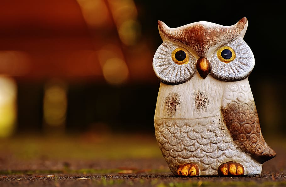 owl, bird, funny, ceramic, animal, cute, deco, figure, decoration HD wallpaper