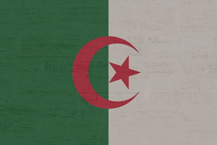 algeria, flag, red, wall - building feature, no people, green color HD wallpaper