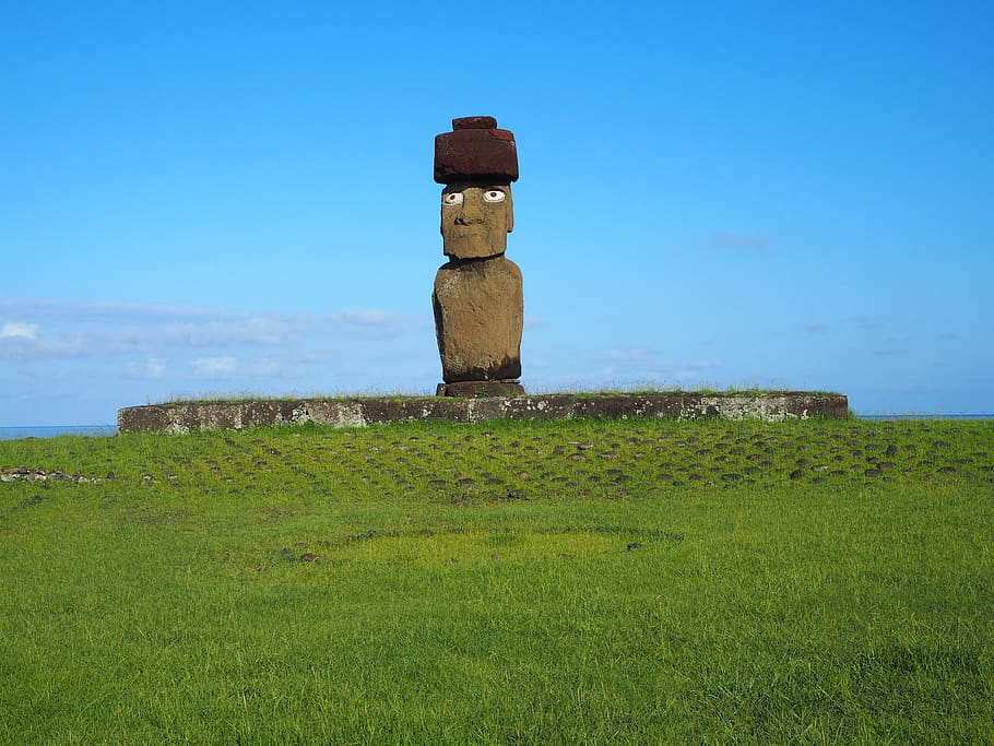 moai, easter island, chile, grass, field, plant, sky, green color