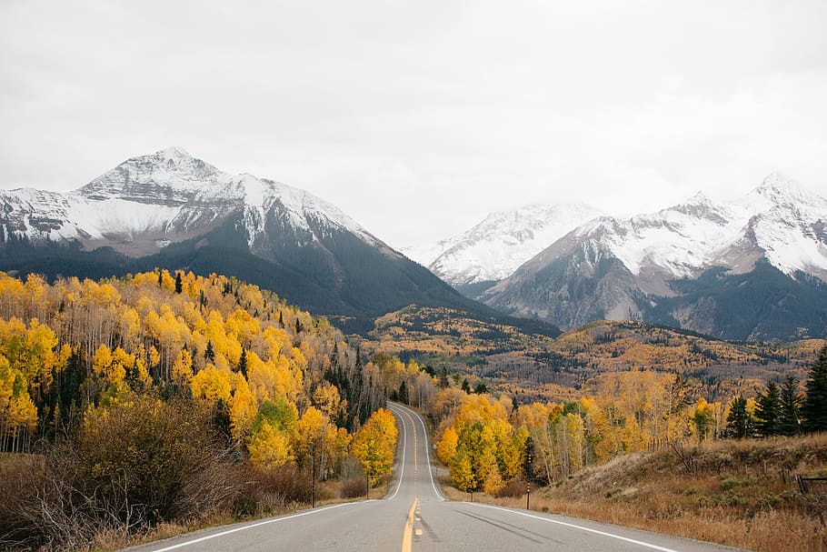 mountain, landscape, forest, nature, serra, sky, snow, road HD wallpaper
