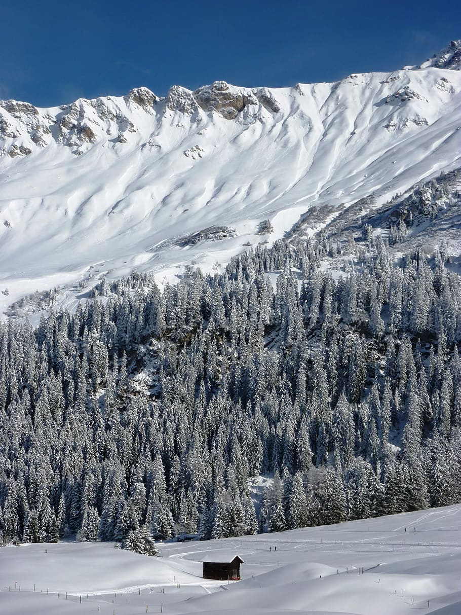 Winter, Snow, Wintry, Cold, Landscape, snowy, winter cold, switzerland HD wallpaper