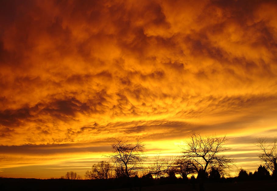 HD wallpaper: Amber, Sky, amber sky, gold sky, red, fiery, sunset, sunrise  | Wallpaper Flare