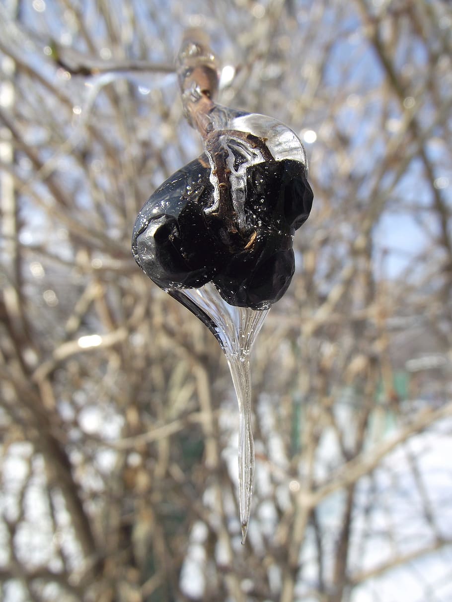 Ice, Winter, Macro, Frost, Snow, White, cold, ice crystals HD wallpaper