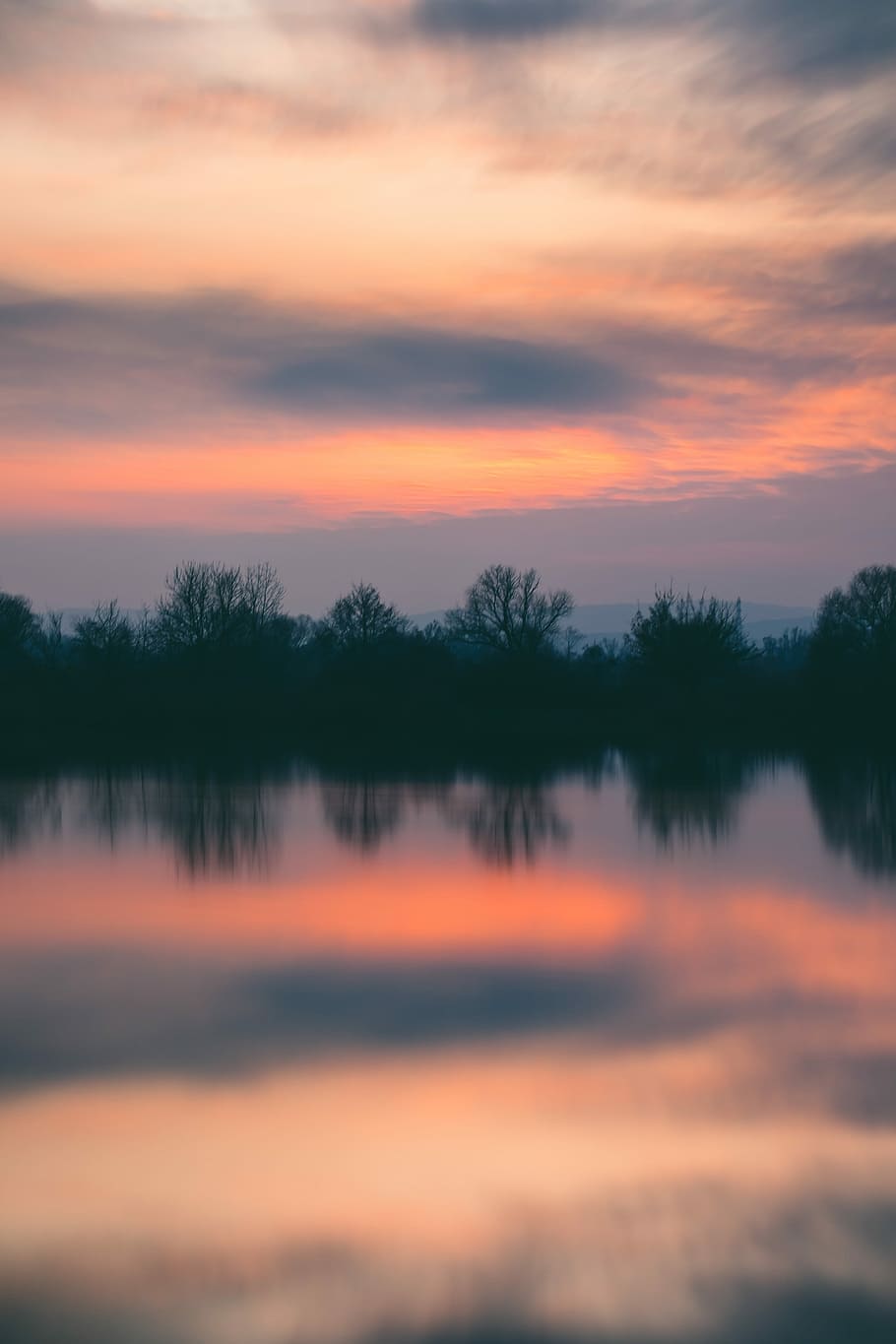 silhouette of trees near in the river, body of water under orange cloudy sky HD wallpaper