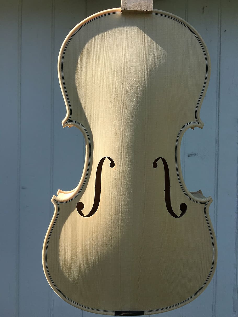 violin, white, classical, instrument, music, fiddle, musical HD wallpaper
