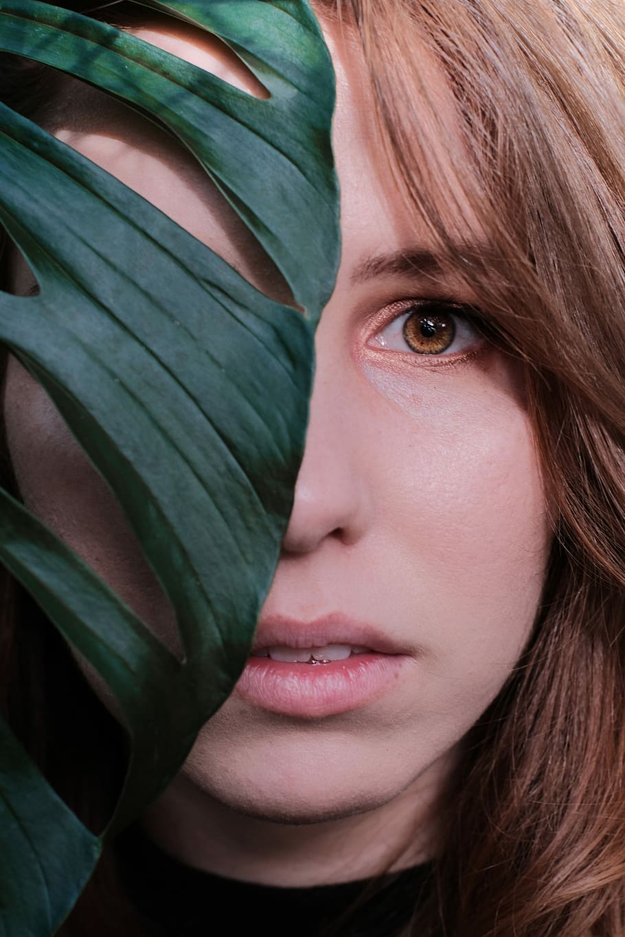 woman face behind green Swiss cheese plant, woman's face, leaf, HD wallpaper