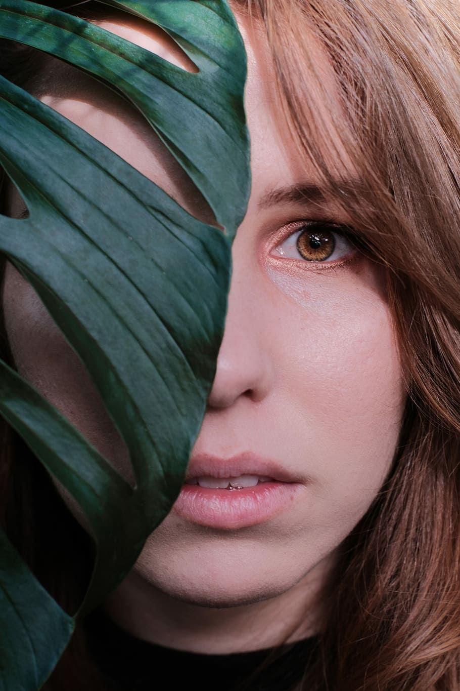 woman face behind green Swiss cheese plant, woman's face, leaf HD wallpaper