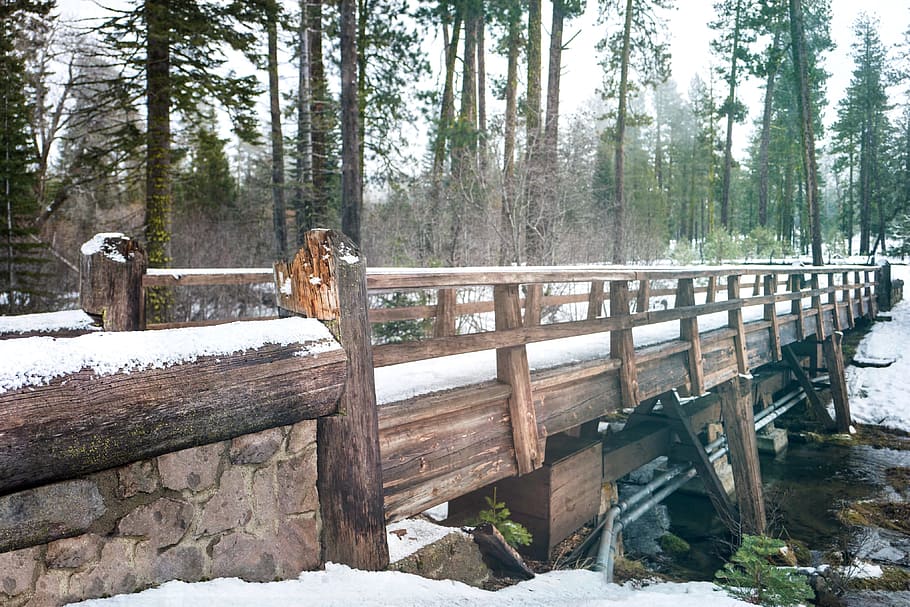 trees, plant, bridge, snow, winter, cold, weather, nature, outdoor HD wallpaper