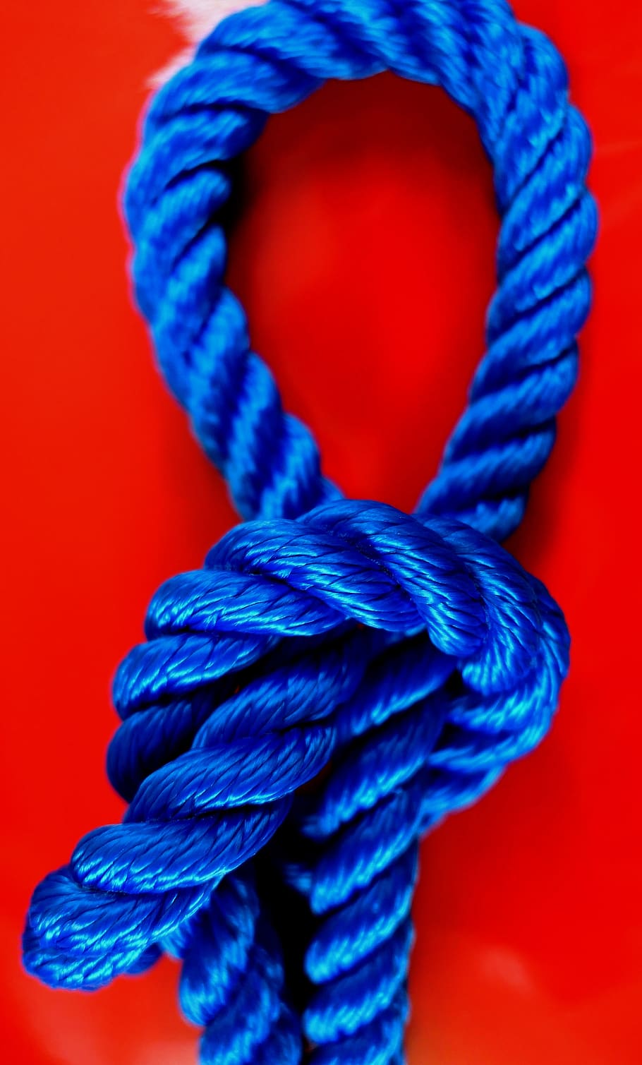 knot, fixing, containing, rope, dew, knitting, hold tight, woven HD wallpaper
