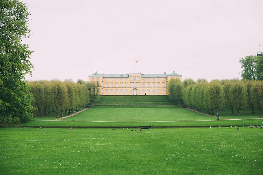 green, grass, yard, building, architecture, trees, plant, green color HD wallpaper