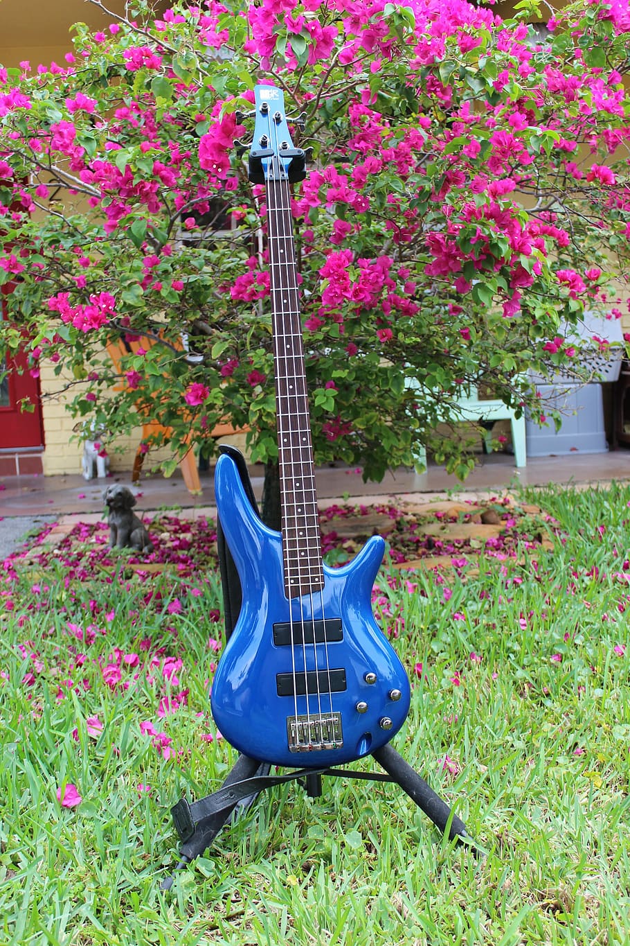 Blue Guitar, Electric Guitar, music, instrument, musical, musician