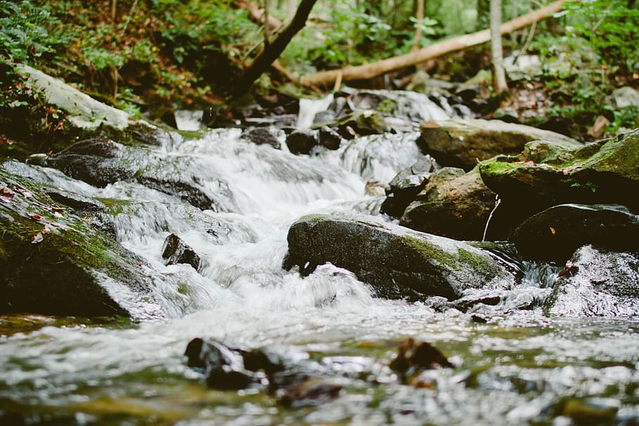 water, river, stream, woods, nature, flowing water, motion HD wallpaper