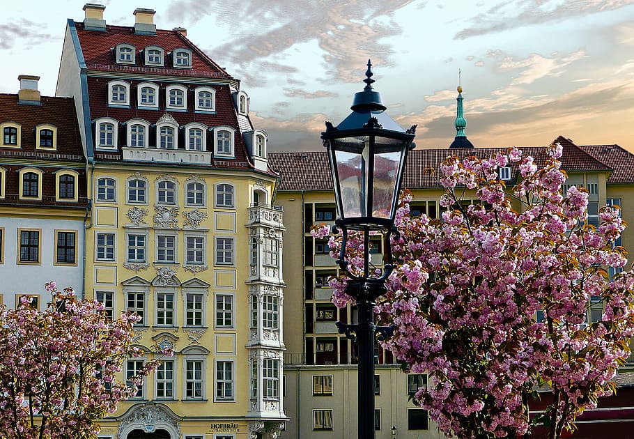 germany, dresden, saxony, architecture, building exterior, built structure HD wallpaper