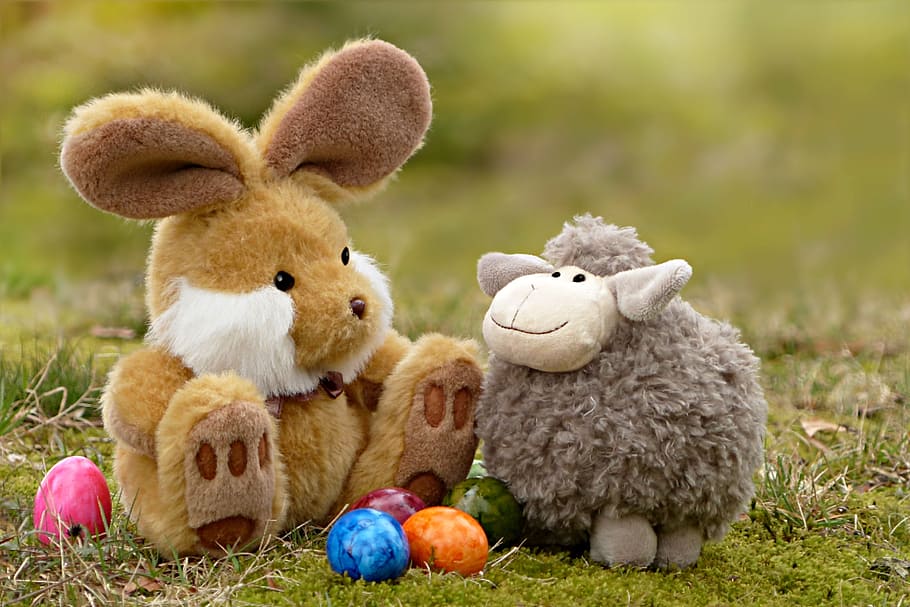 shallow focus photography of two assorted plush toys, easter HD wallpaper