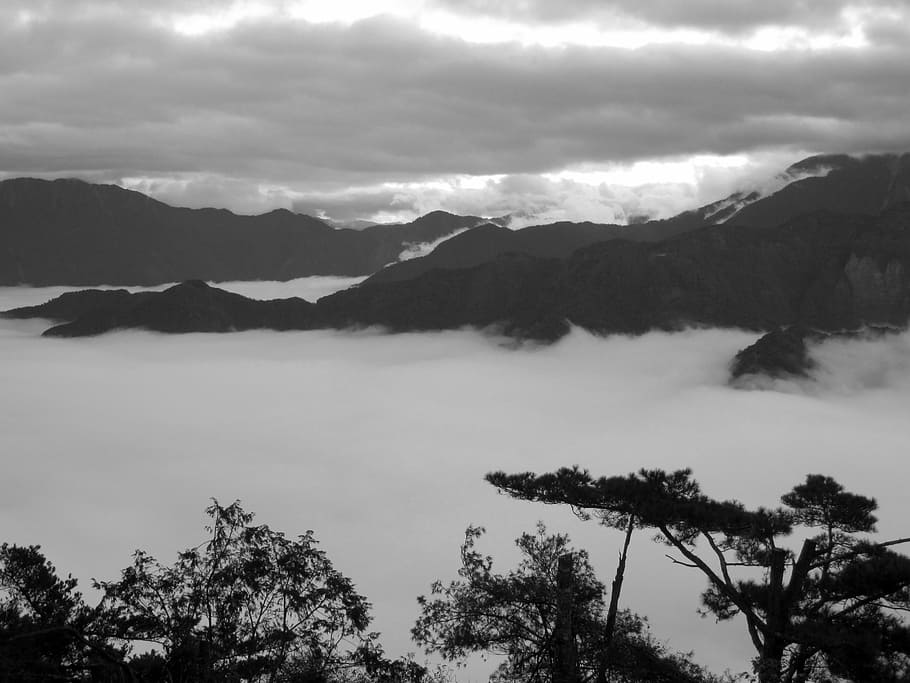 taiwan, alishan, clouds below, black And White, mountain, nature HD wallpaper