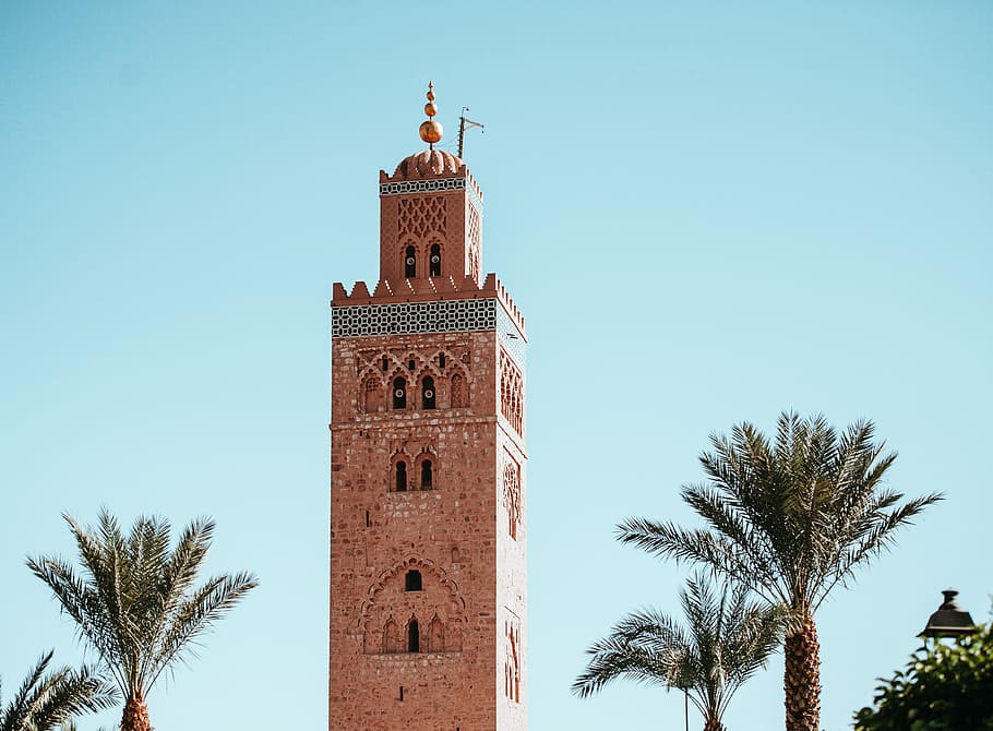 Marrakech, brown concrete building near palm trees at daytime HD wallpaper
