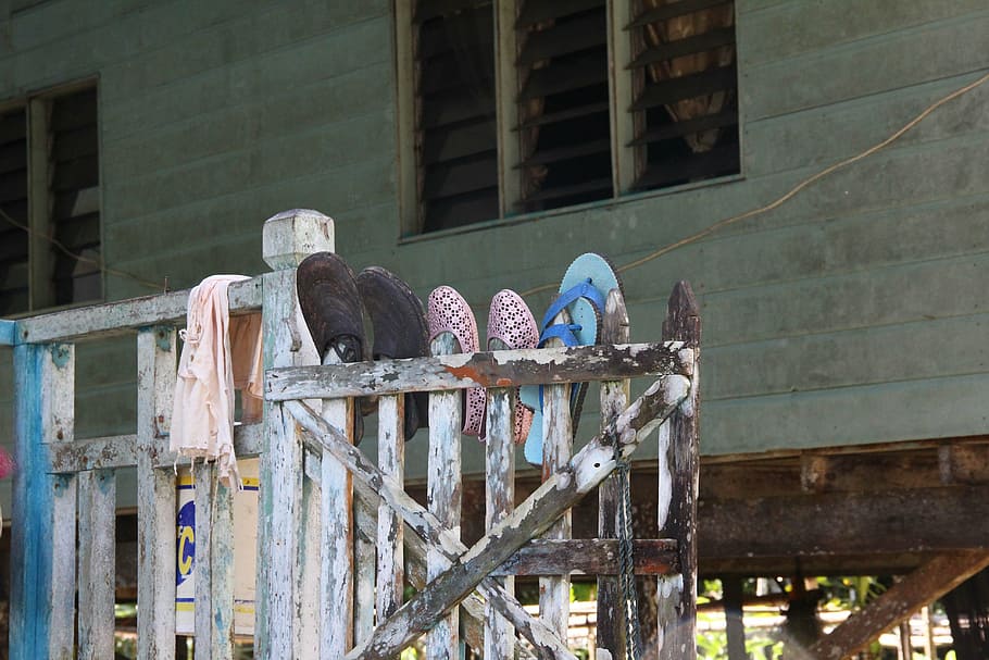 shoes, regulation, together, built structure, bird, vertebrate HD wallpaper