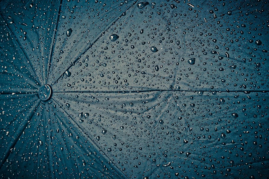 blue umbrella covered with water dews, rain, screen, raindrop HD wallpaper