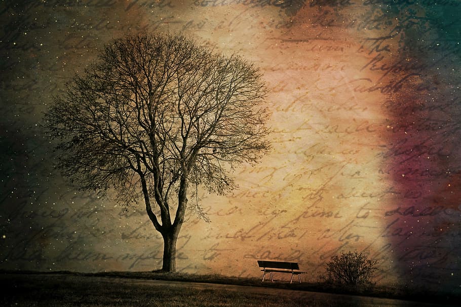 wither tree painting beside bench, texture, background, bare tree HD wallpaper