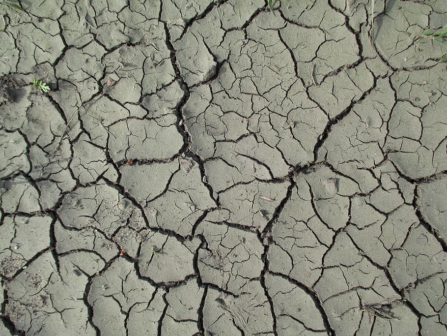 texture, nature, mud, trough, river, pool, drought, cracked, the background