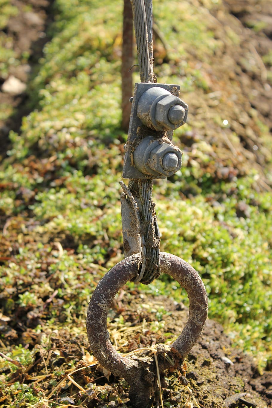Hops, Anchor, Field, Eyelet, no people, outdoors, day, close-up HD wallpaper