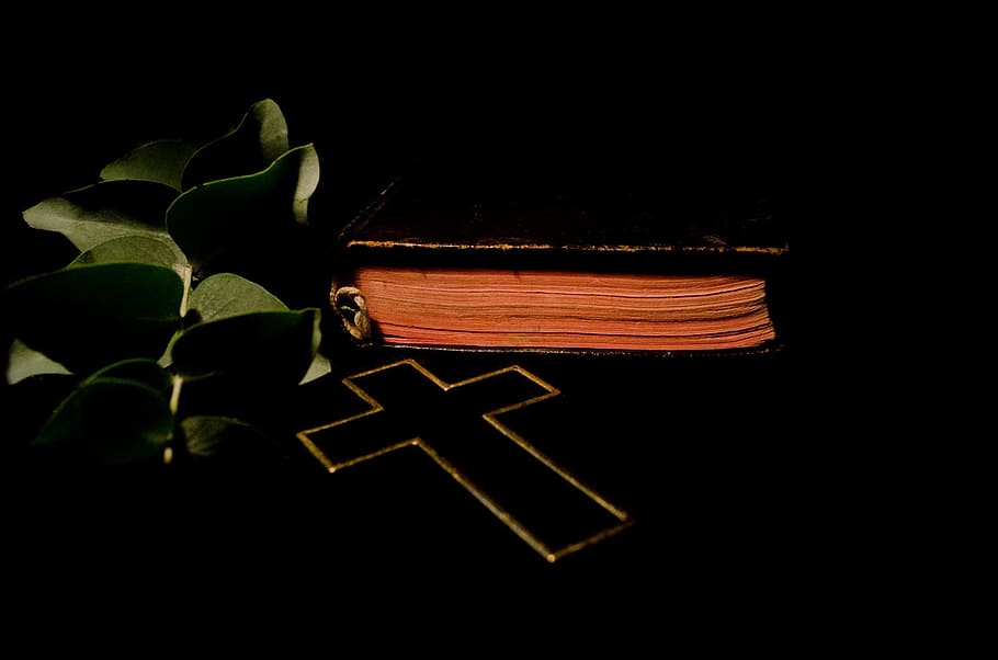 brown cross pendant, Bible, Book, Leaf, Leaves, christianity HD wallpaper