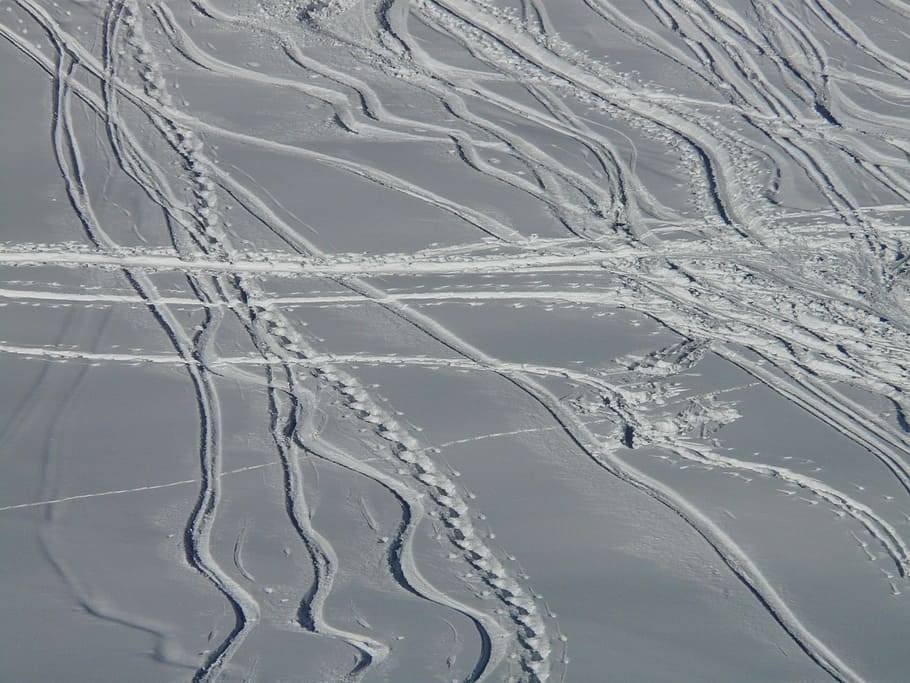 Skiing, Departure, Wag, Trace, Curves, powder snow, wintry HD wallpaper
