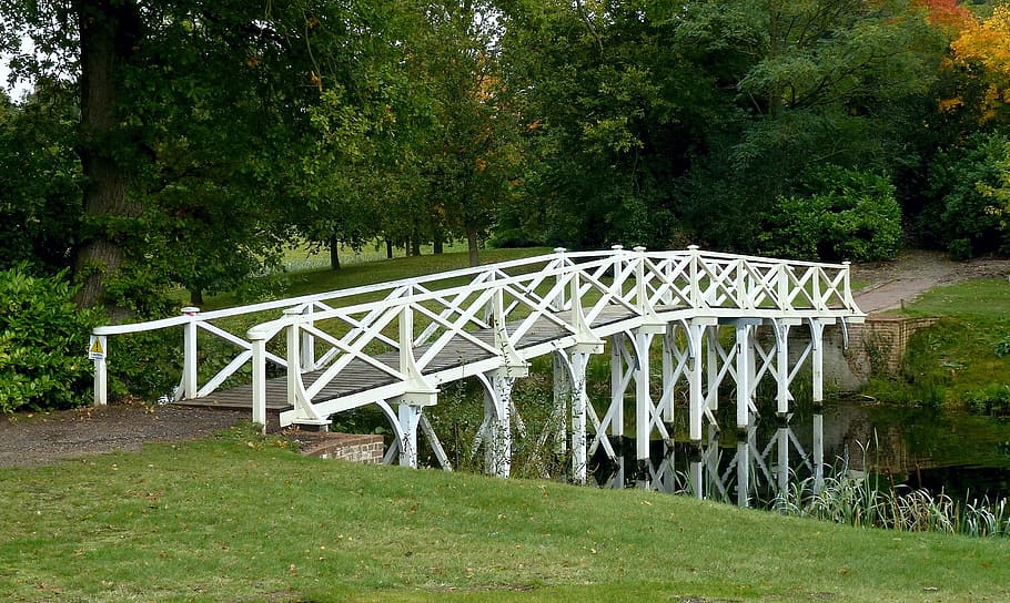 nature, park, bridge, tranquil, reflection, plant, bridge - man made structure HD wallpaper