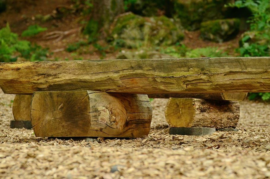 seat, wooden bench, forest, click, out, sit, resting place