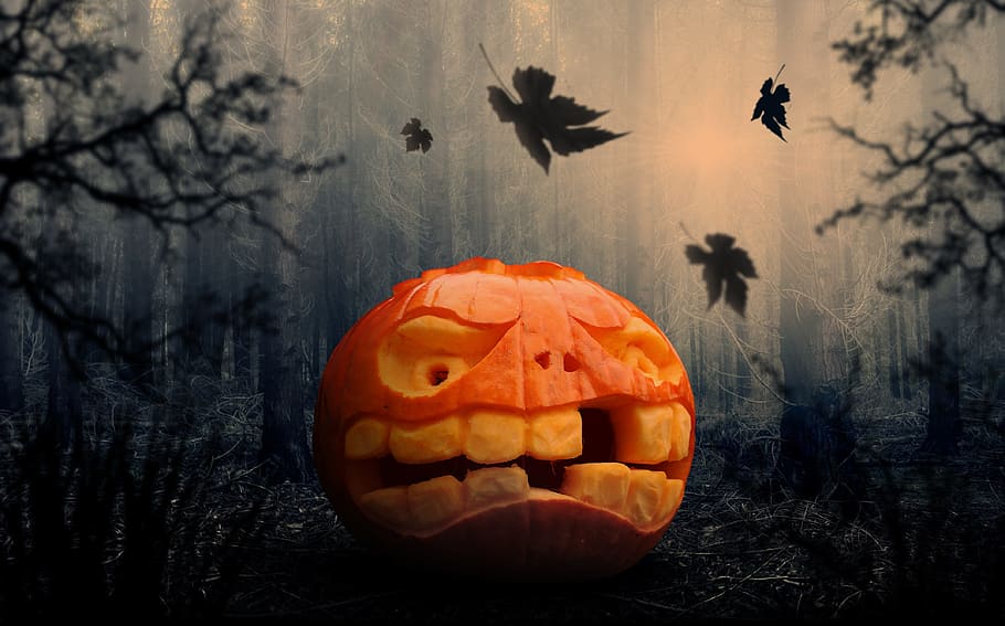 Jack-o-Lantern with black and gray background, halloween, pumpkin