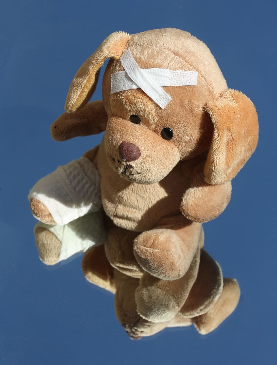 Stuffed animal cheap with broken leg