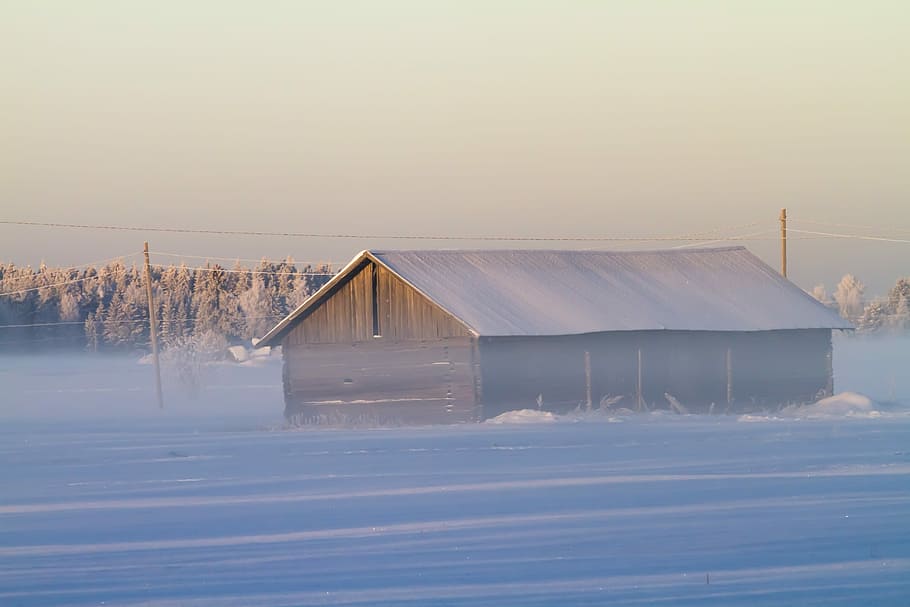 aurora, nature, winter, snow, sky, fog, house, utu, field, forest HD wallpaper
