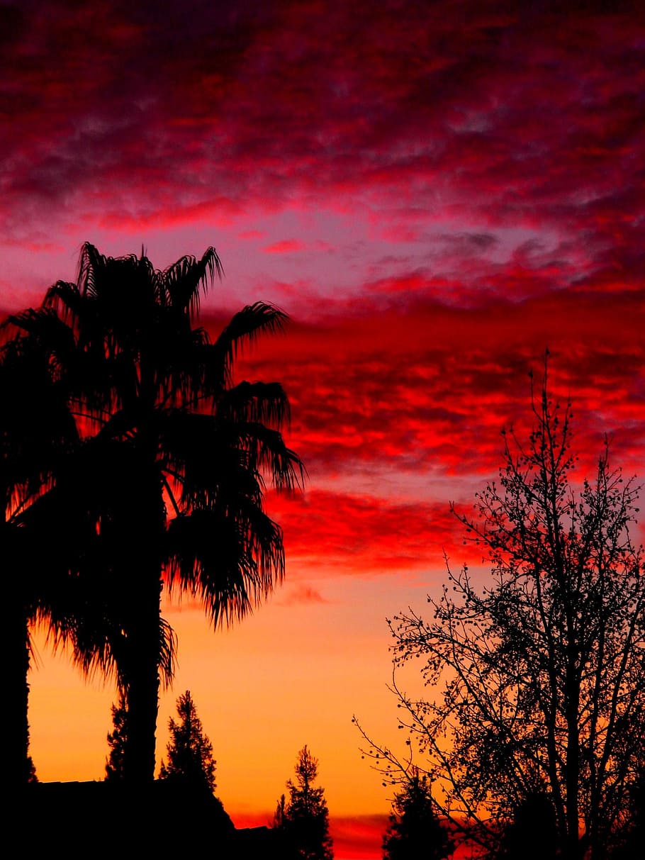 sky, sunset, colors, pink, orange, purple, warm, summer nights HD wallpaper