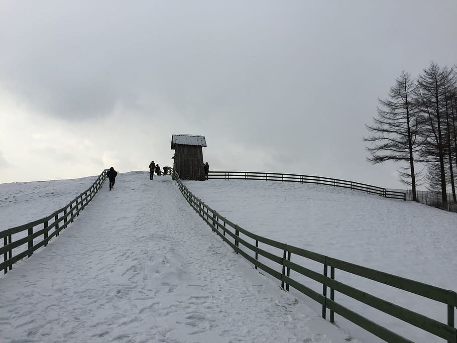 Winter, Landscape, Ranch, Hill, Climb, method, snow, nature, HD wallpaper