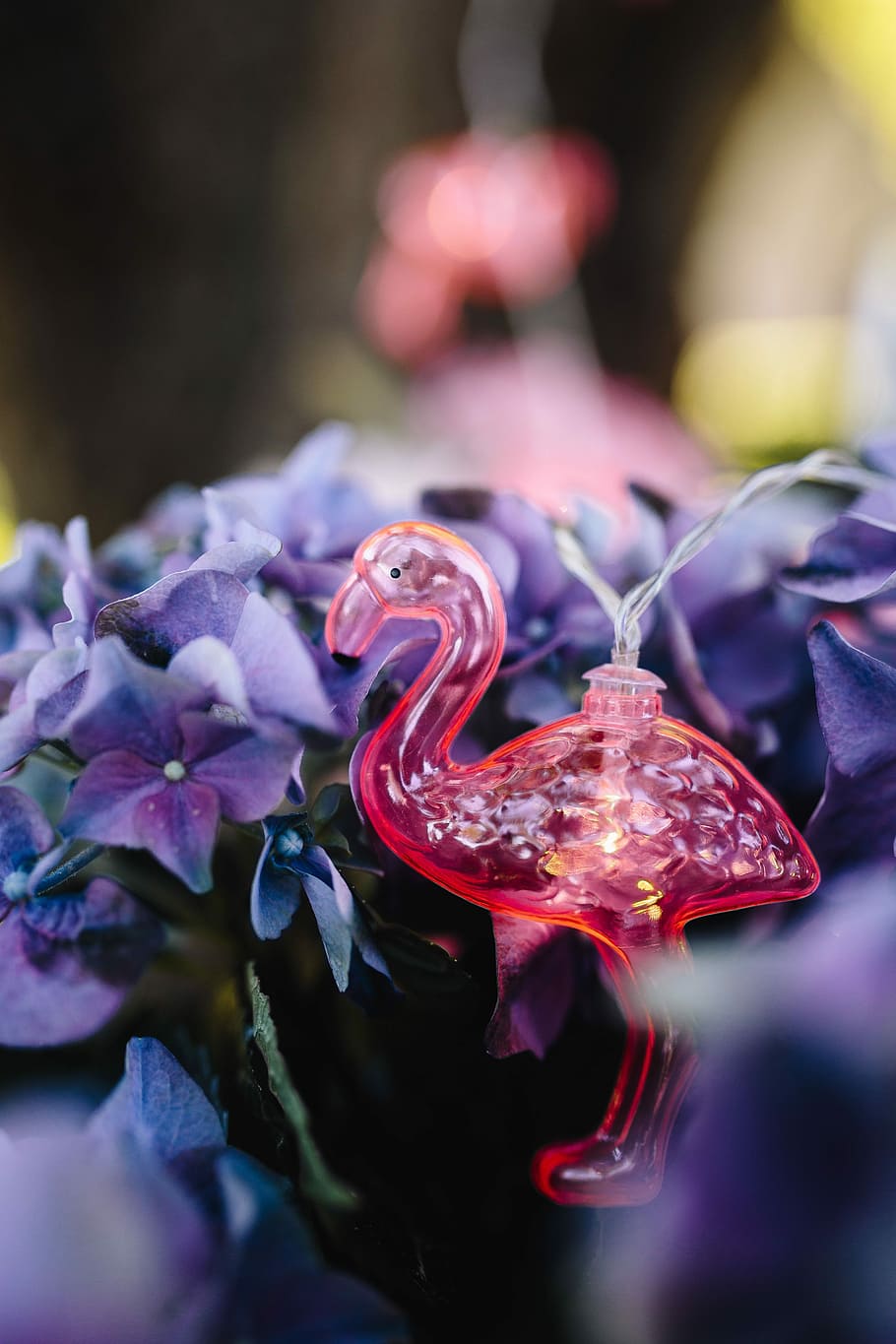Flamingo light garland & pink flowers, summer, lamp, fun HD wallpaper