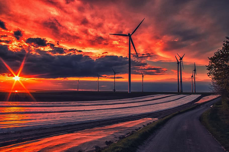 sky, clouds, nature, plant, tree, windmill, structure, path HD wallpaper