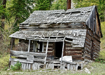 Shack, Hut, Ramshackle, Rustic, Building, rural, wooden, house HD wallpaper