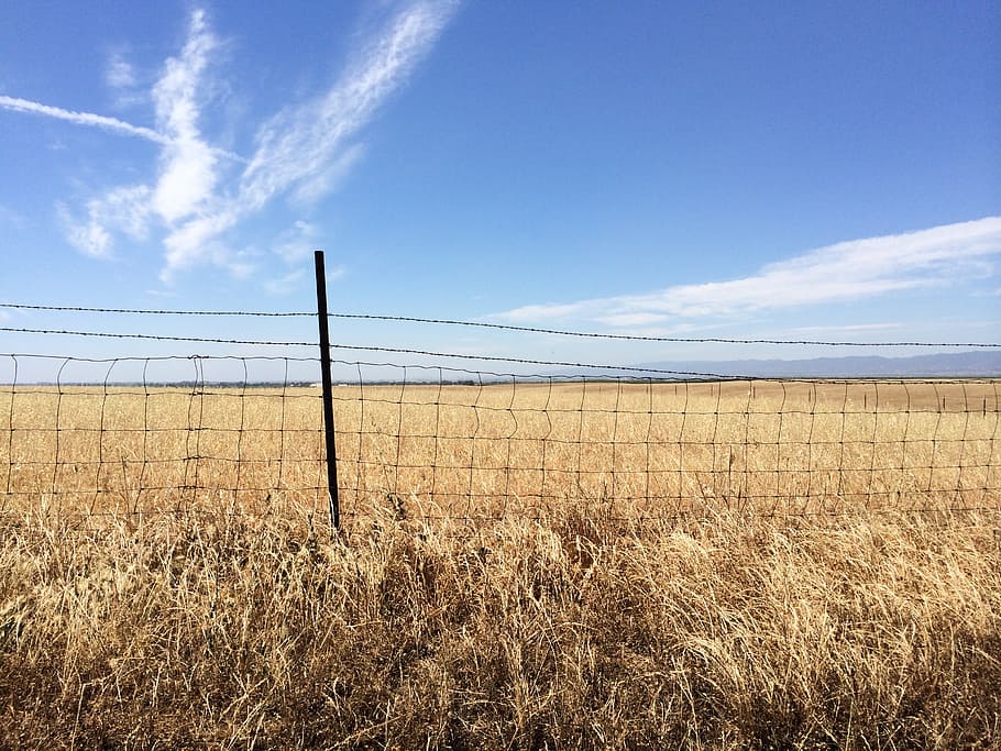 fence, landscape, field, meadow, blue, sky, outdoor, cloud - sky HD wallpaper