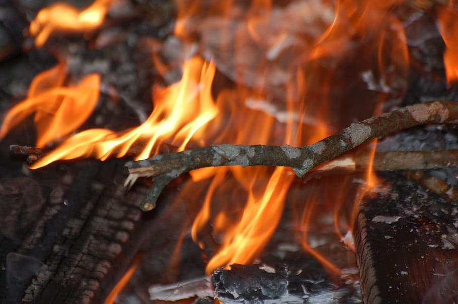 campfire, flames, fireplace, light a bonfire, heat, summer HD wallpaper