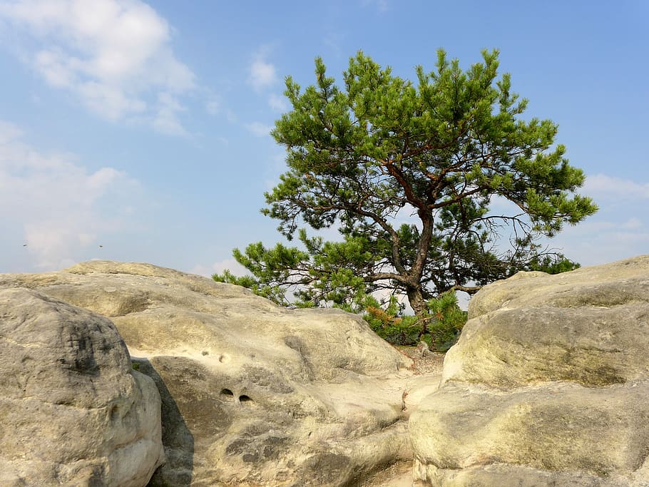 Rock, Sky, Blue, Clouds, cliff, green, tree, nature, landscape, HD wallpaper